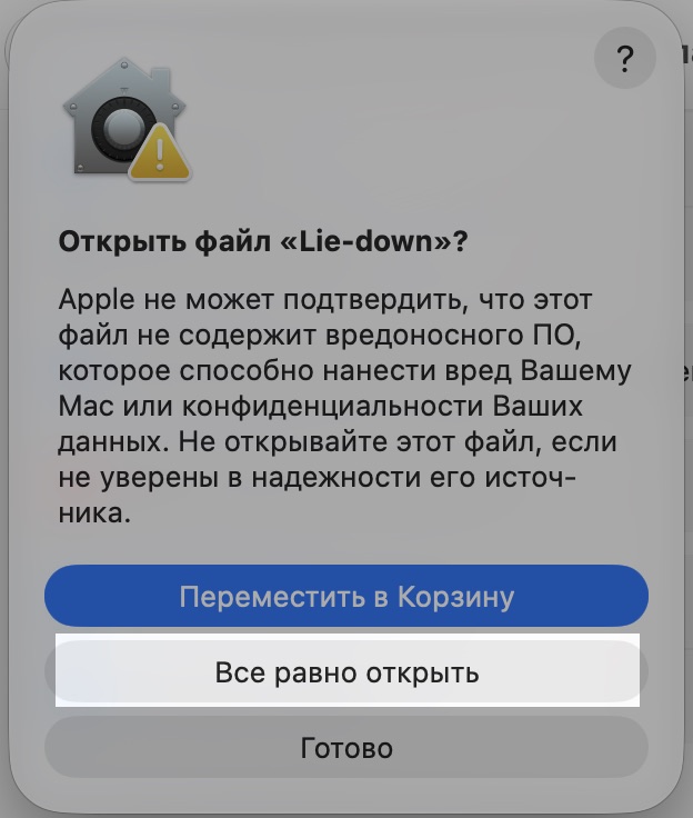Окно «Открыть файл?» — нажмите «Все равно открыть»